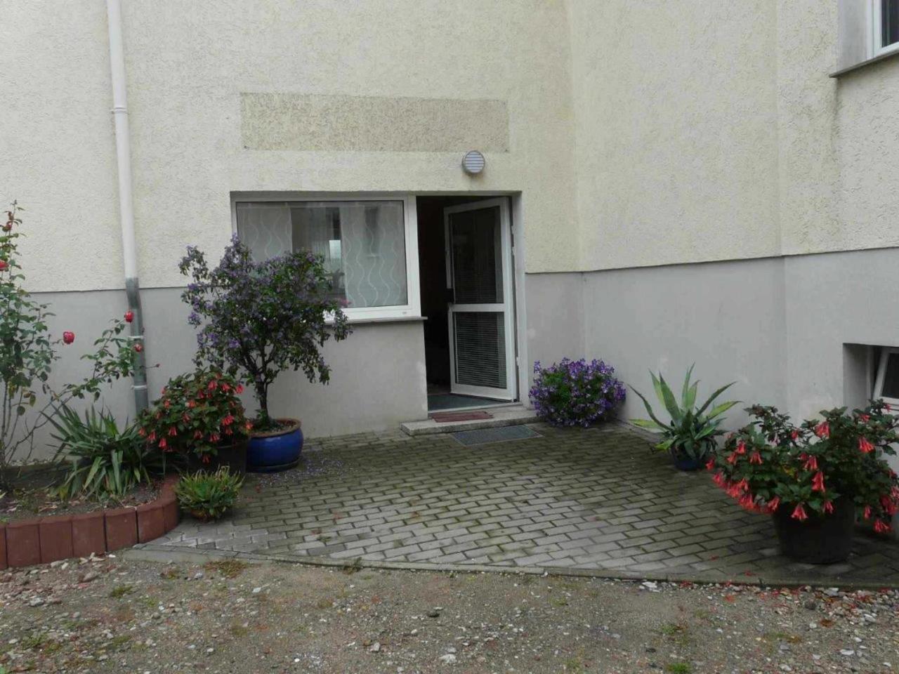 Ferienwohnung Winter Wittenberg المظهر الخارجي الصورة