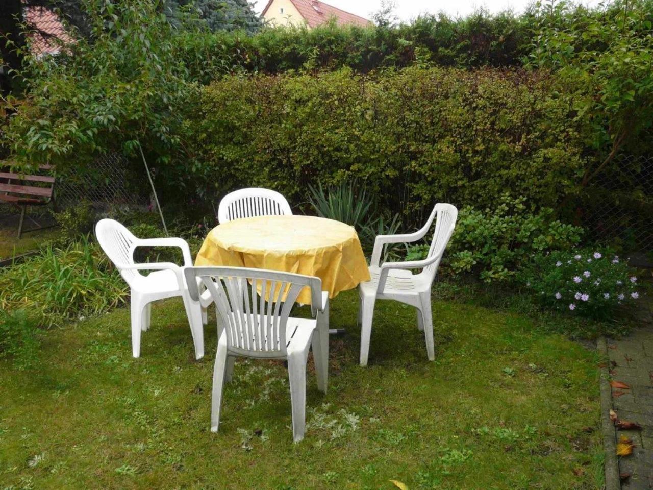 Ferienwohnung Winter Wittenberg المظهر الخارجي الصورة